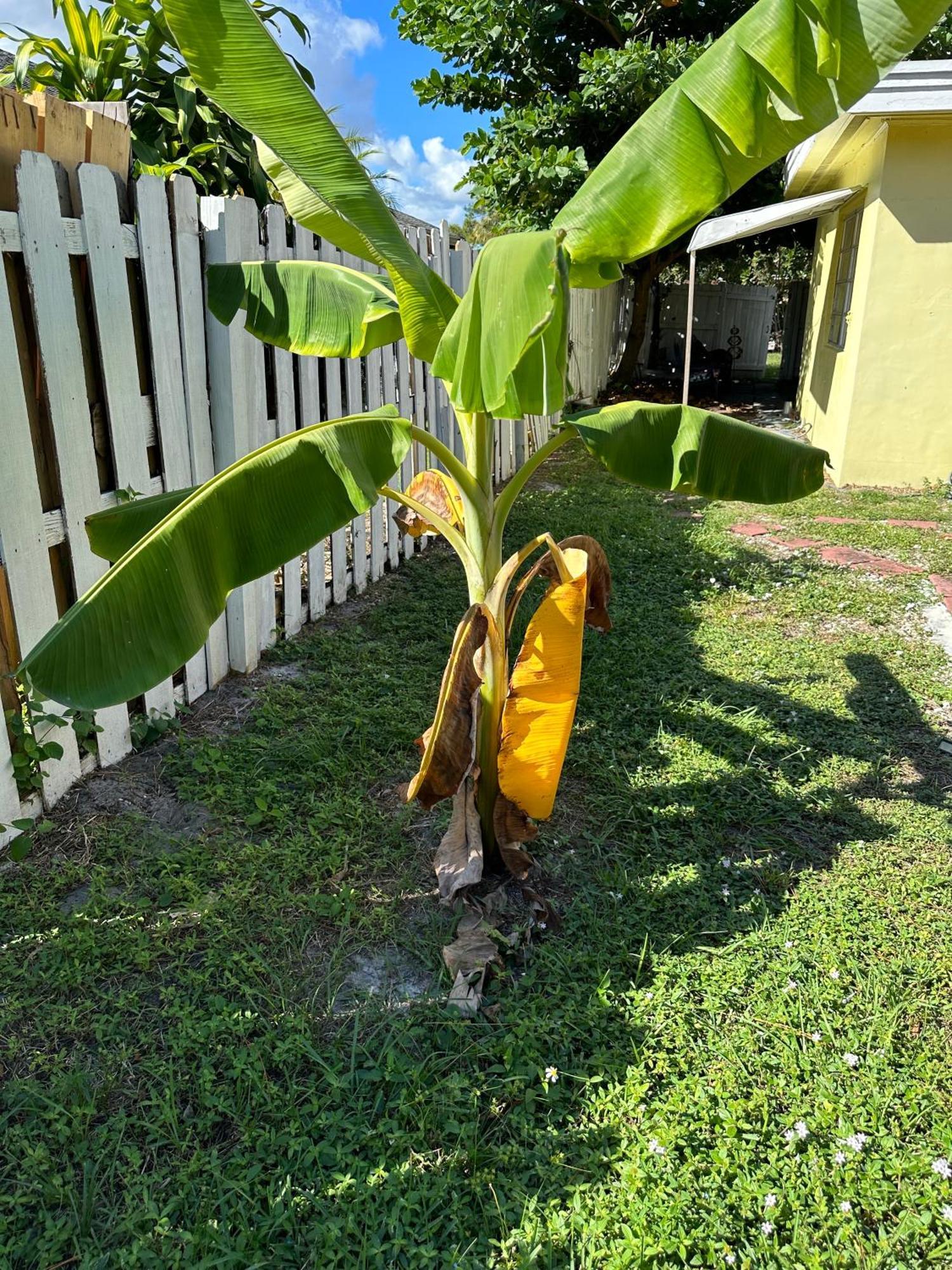 3 Bedroom House Fenced Backyard Private Patio Areas Grill Firepit Plenty Parking! Quick Access 10 Min To Beach Airport Delray West Palm Лейк-Уорт Экстерьер фото